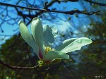 20070322 01.jpg